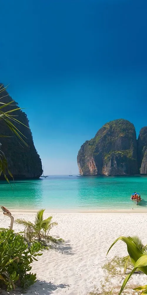 WhatsApp Image 2026-03-05 at 13.06.11.webp