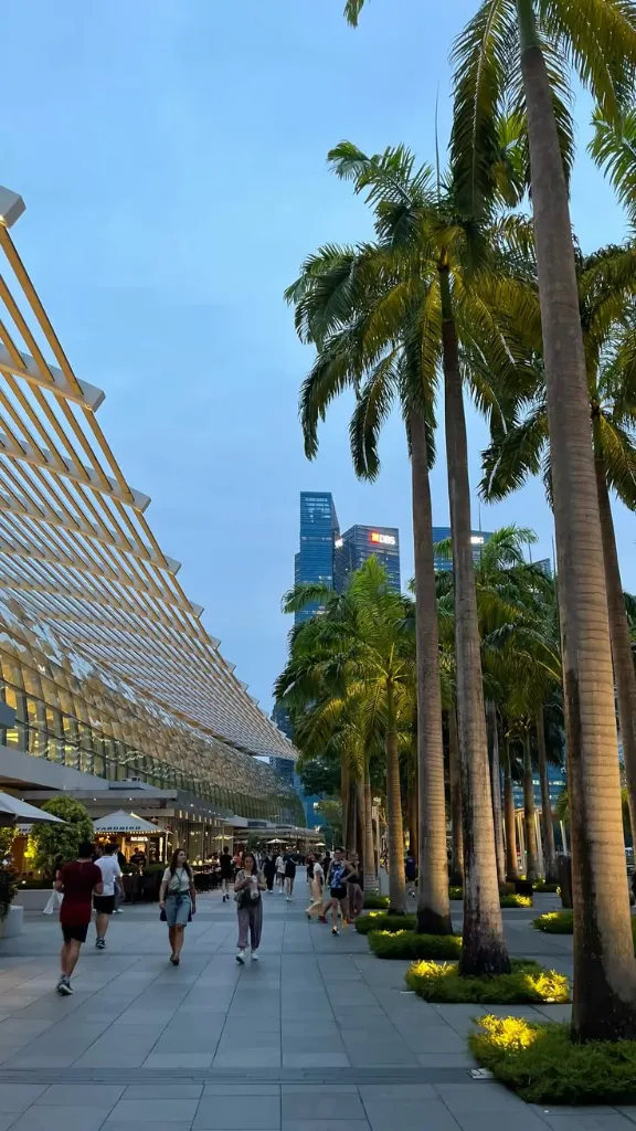 WhatsApp Image 2026-03-05 at 13.25.54 (1).webp