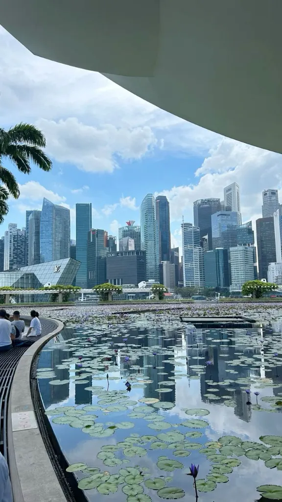 WhatsApp Image 2026-03-05 at 13.25.56.webp