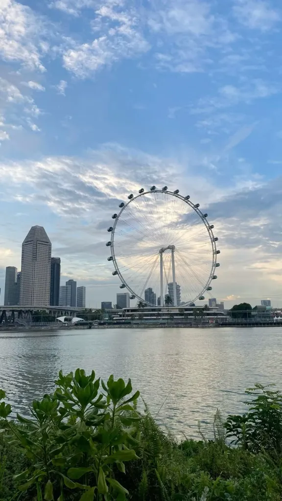 WhatsApp Image 2026-03-05 at 13.25.56 (2).webp