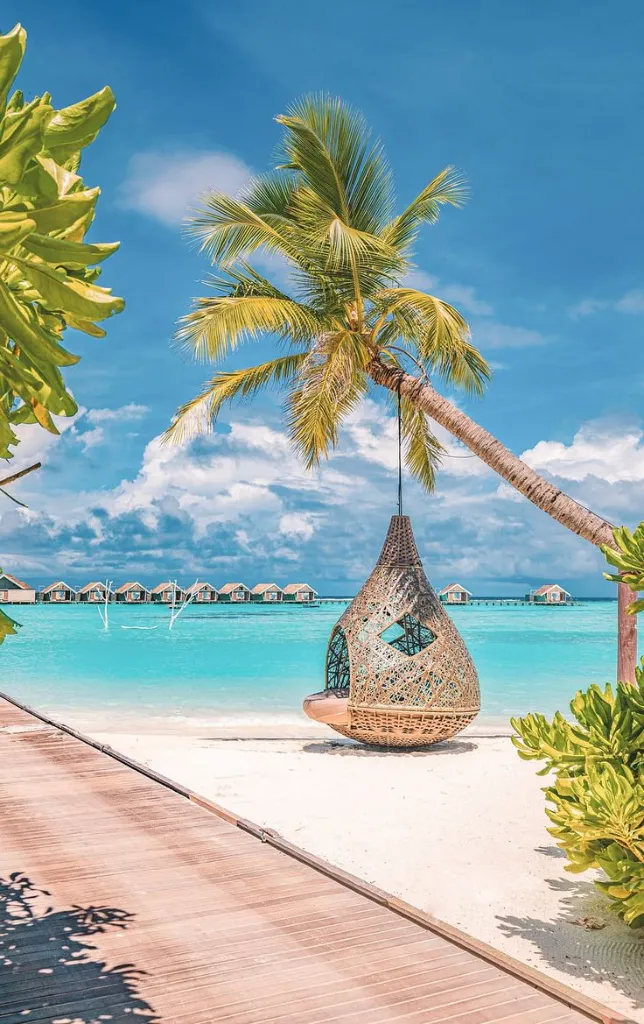 WhatsApp Image 2026-03-05 at 13.33.02 (1).webp