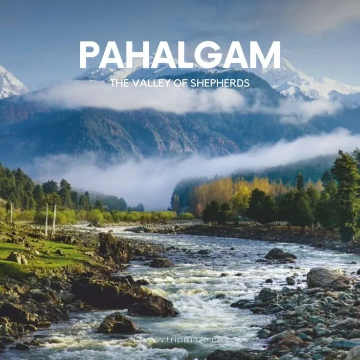 WhatsApp Image 2026-03-02 at 13.59.08.webp