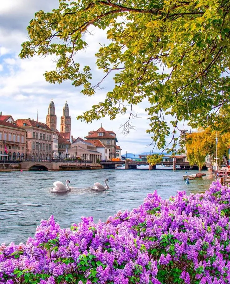 WhatsApp Image 2026-03-05 at 16.18.54 (3).webp