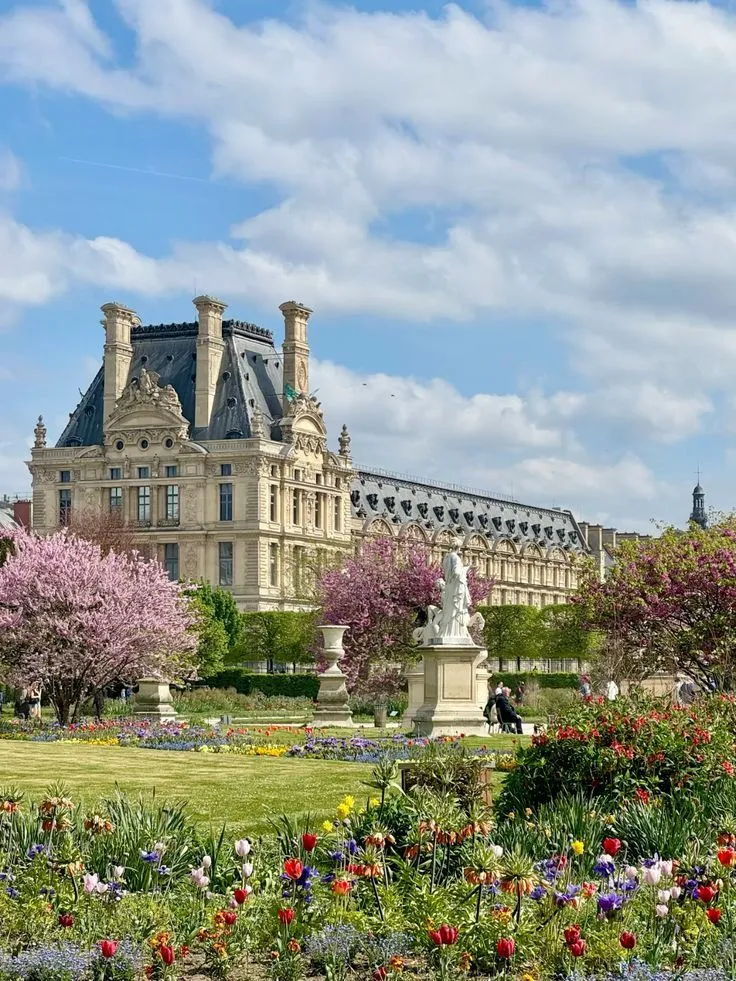 WhatsApp Image 2026-03-05 at 13.45.46.webp