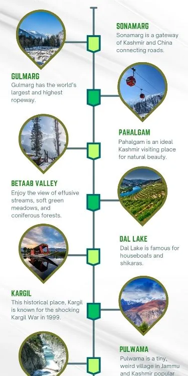 WhatsApp Image 2026-03-02 at 13.59.07.webp