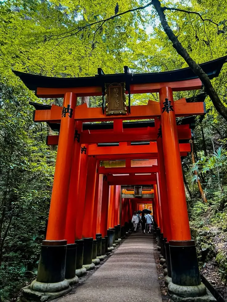 WhatsApp Image 2026-03-06 at 11.44.06.webp