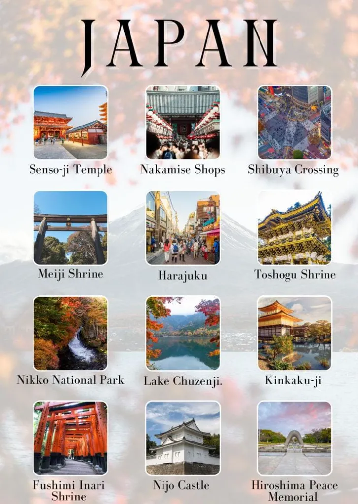 WhatsApp Image 2026-03-06 at 11.54.18.webp