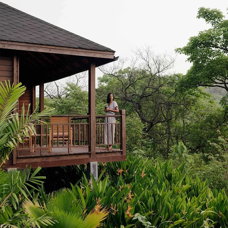 WhatsApp Image 2026-03-06 at 13.36.19.webp