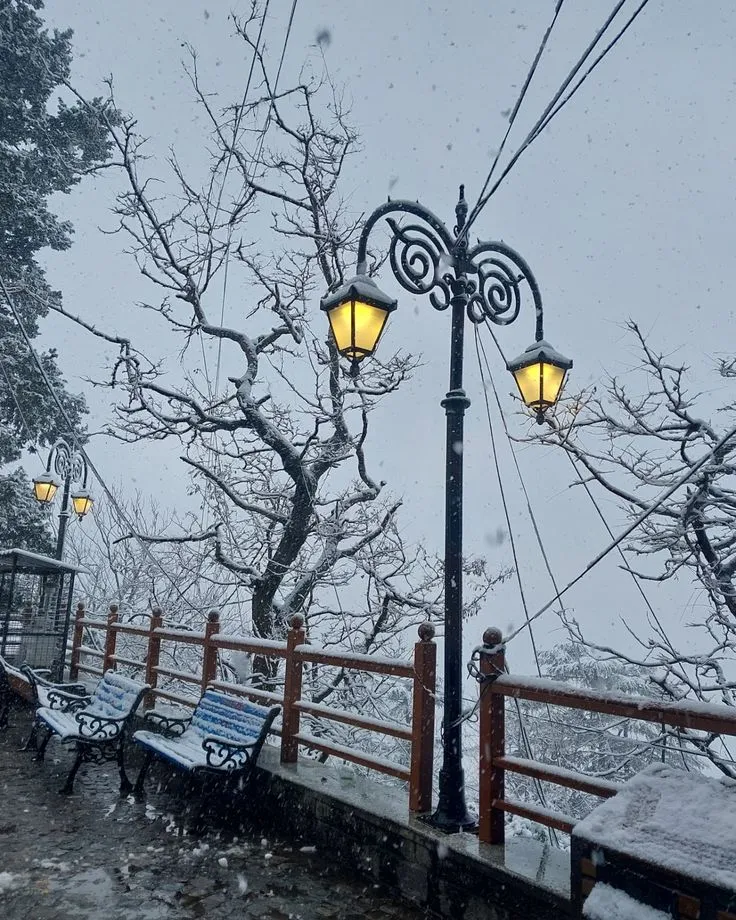 WhatsApp Image 2026-03-03 at 10.36.41 (1).webp