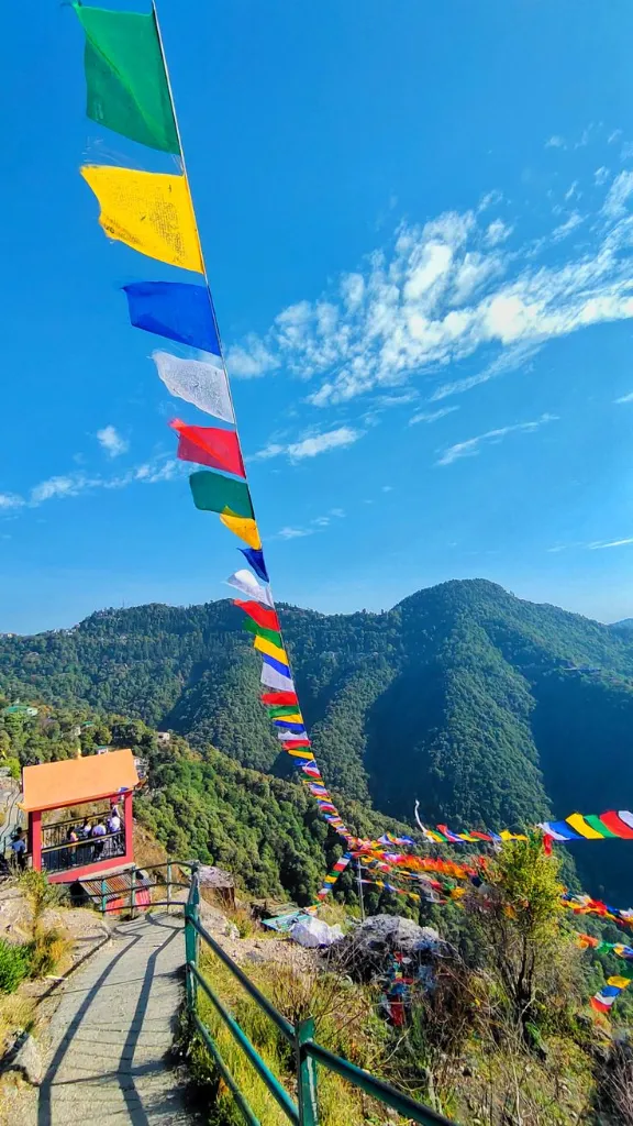 WhatsApp Image 2026-03-03 at 13.02.01.webp