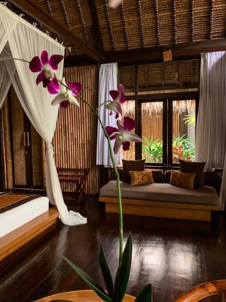 WhatsApp Image 2026-03-06 at 14.20.32.webp