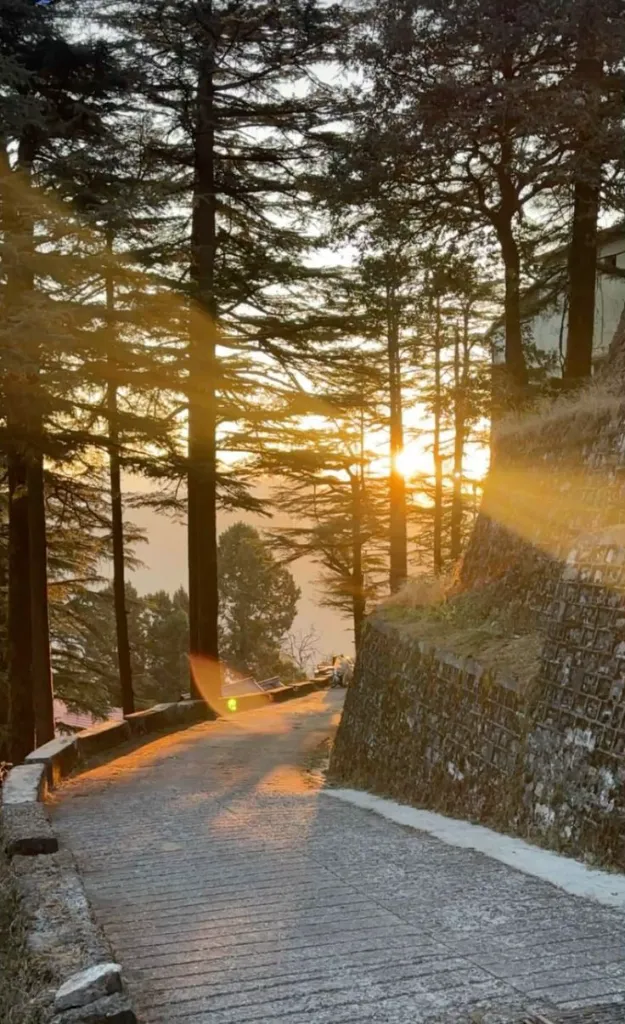 WhatsApp Image 2026-03-03 at 13.02.01 (1).webp