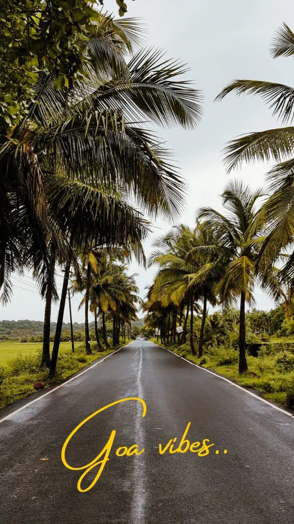 WhatsApp Image 2026-03-03 at 13.15.30.webp