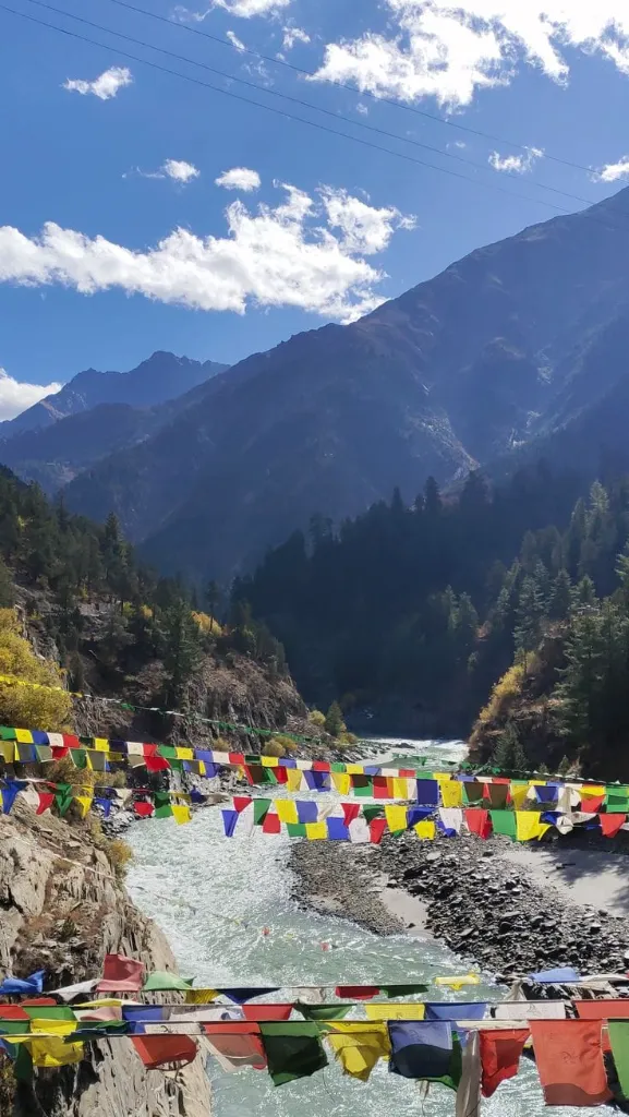 WhatsApp Image 2026-03-03 at 13.35.13.webp