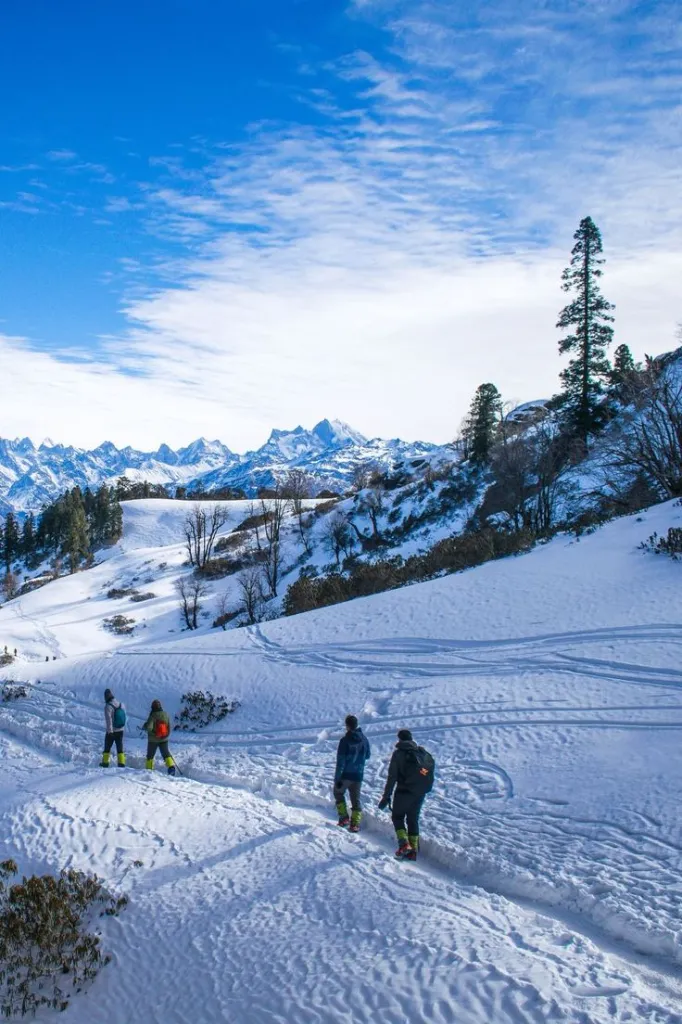 WhatsApp Image 2026-03-03 at 13.35.13 (1).webp