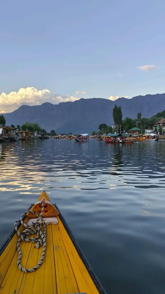 WhatsApp Image 2026-03-03 at 13.41.23 (1).webp