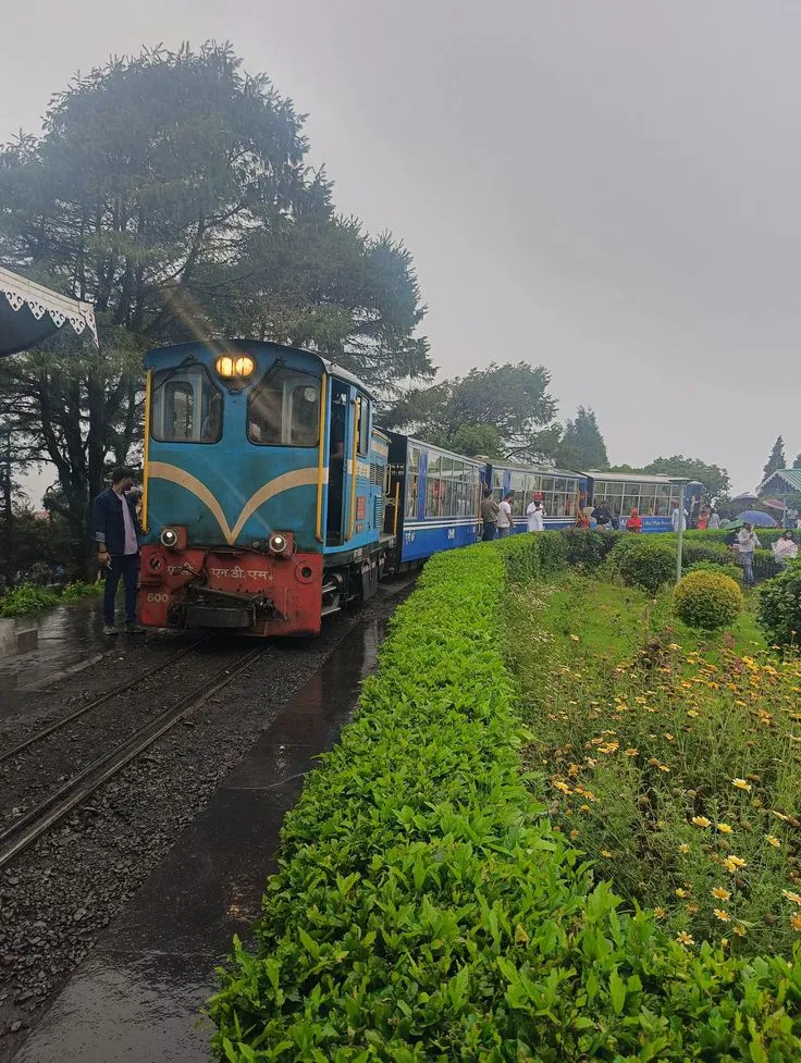 WhatsApp Image 2026-03-03 at 14.11.55.webp