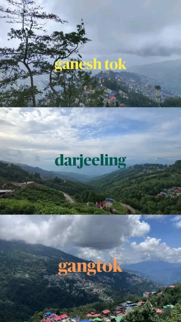 WhatsApp Image 2026-03-03 at 14.11.53 (2).webp