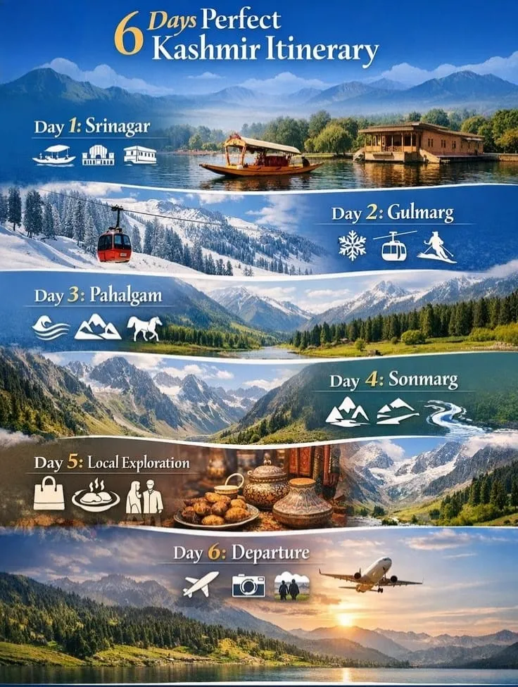 WhatsApp Image 2026-03-02 at 13.56.05.webp