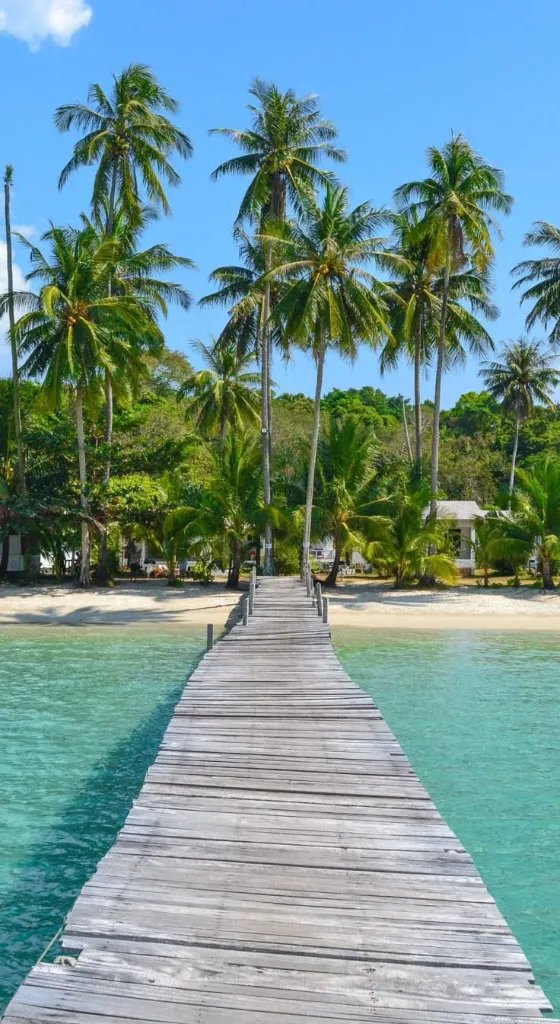 WhatsApp Image 2026-03-05 at 13.06.11 (1).webp