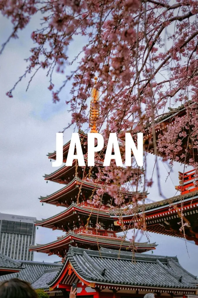 Japan 5N/6D (Standard (3⭐), Without Flights)