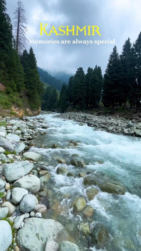 Kashmir Package (Standard (3⭐), 3N/4D)